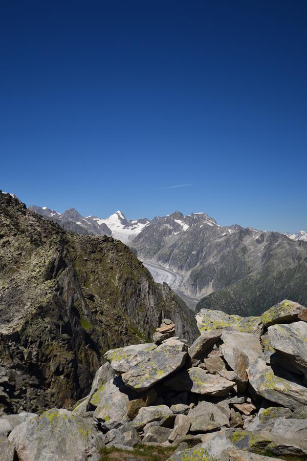 Appartmenthaus Bergfreund Fiesch Extérieur photo