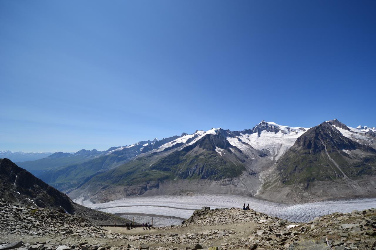 Appartmenthaus Bergfreund Fiesch Extérieur photo