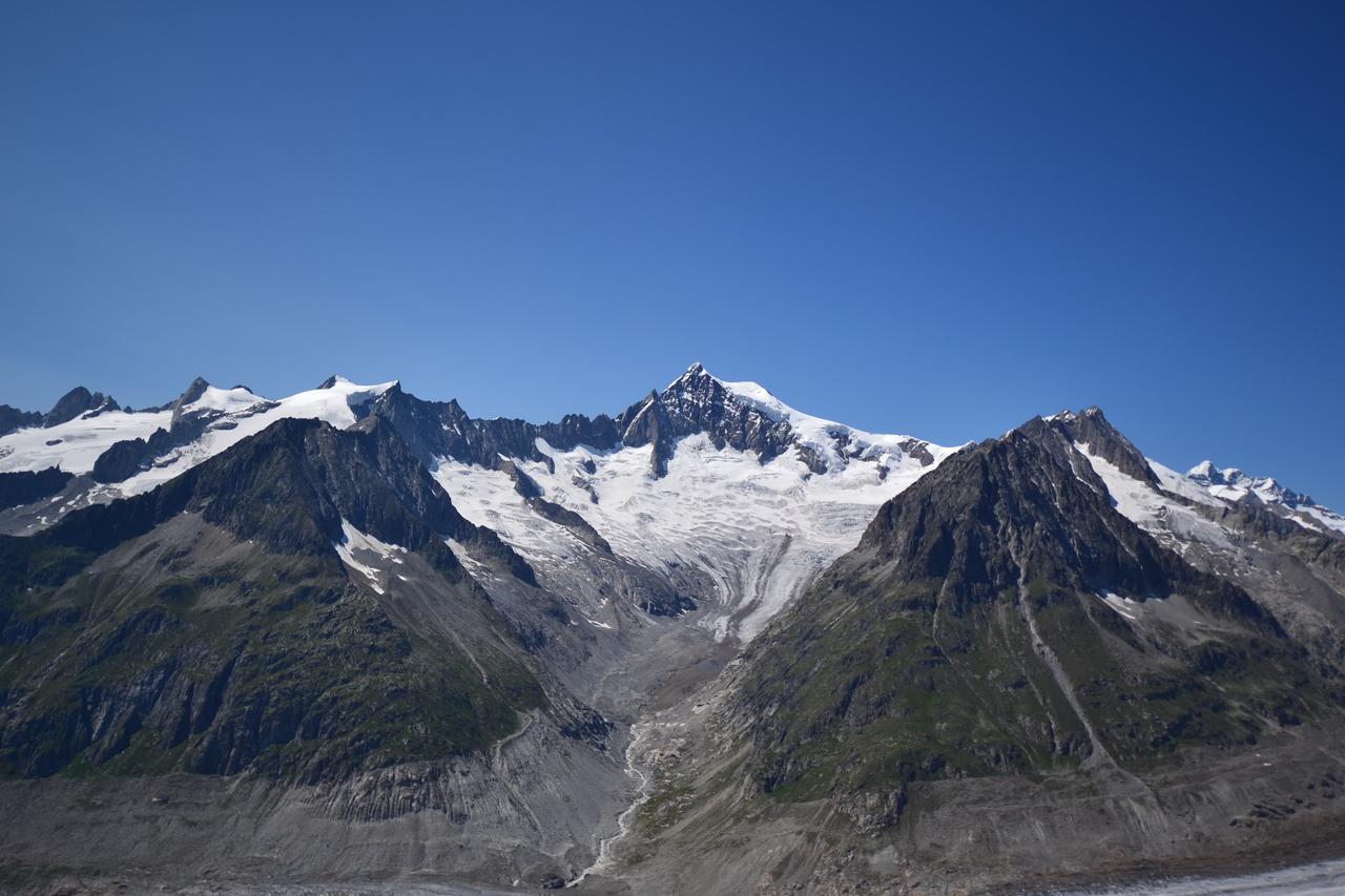 Appartmenthaus Bergfreund Fiesch Extérieur photo